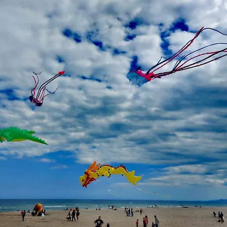 Canet-beach 아파트 카네트