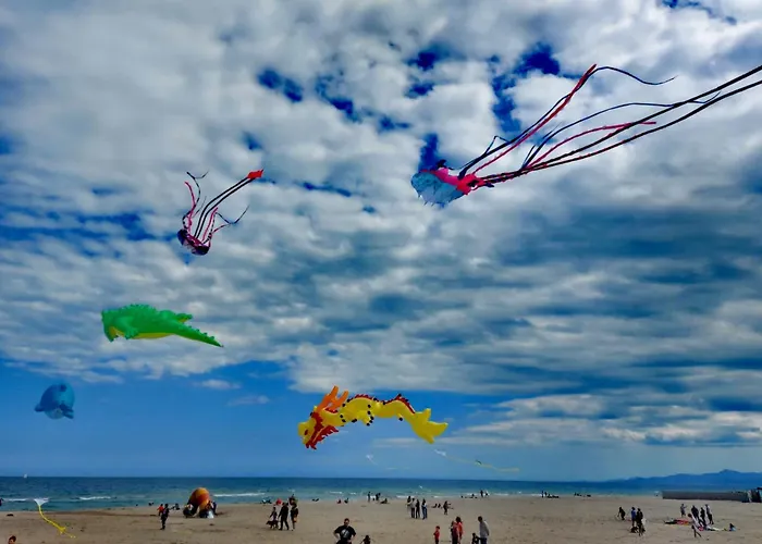 Canet-beach Apartamento Canet-en-Roussillon